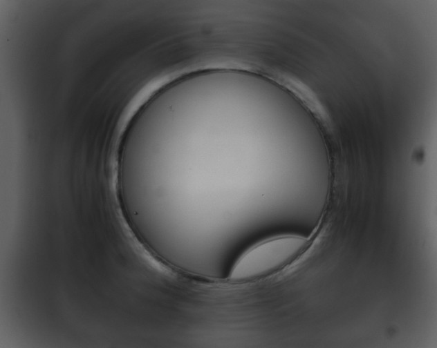 X0000101961188200807180655