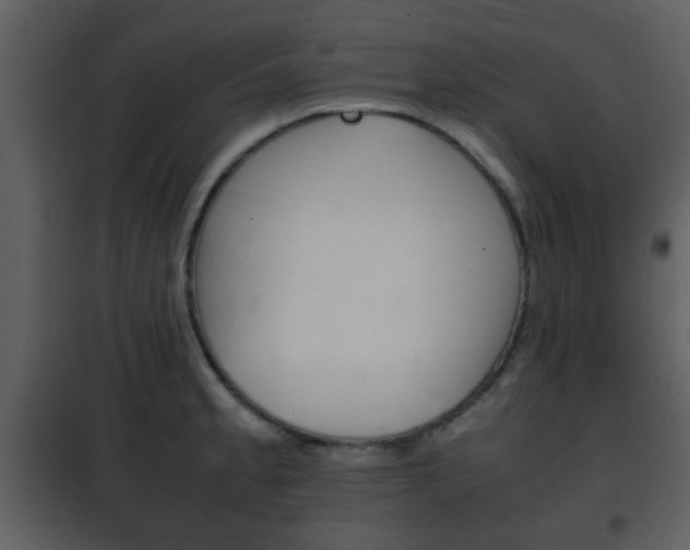 X0000101961189200807180655