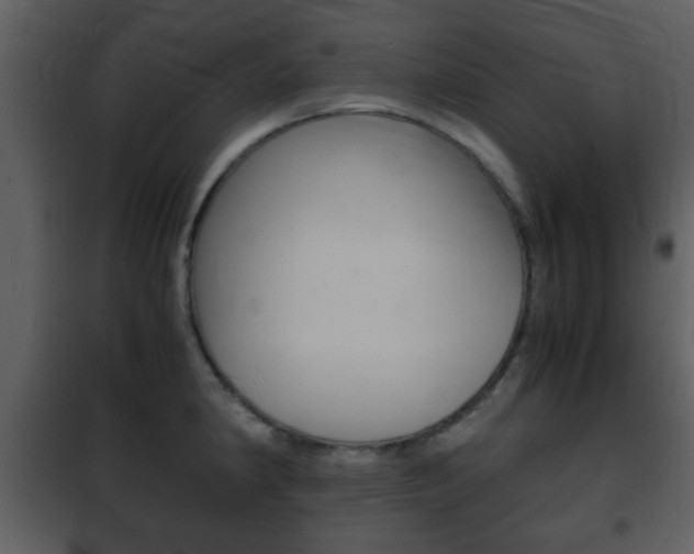 X0000101961190200807180655