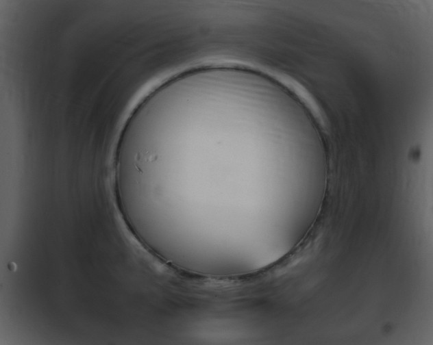 X0000101961191200807180655
