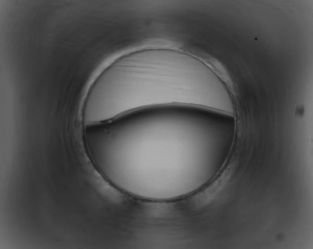 X0000101961192200807180655