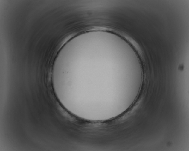 X0000101961193200807180655