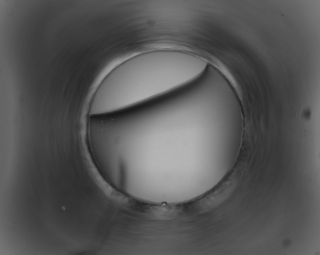 X0000101961195200807180655