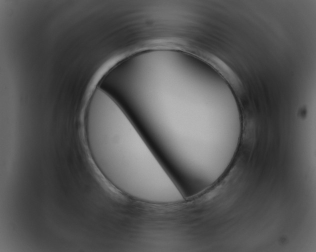 X0000101961196200807180655