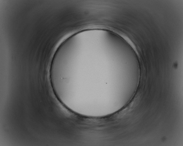 X0000101961197200807180655