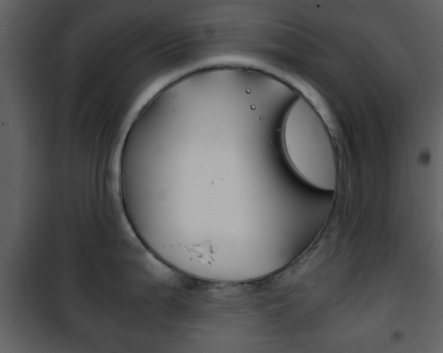X0000101961199200807180655