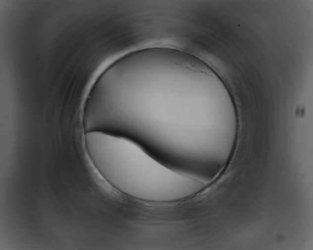 X0000101961200200807180655