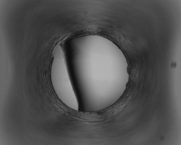 X0000101961201200807180654