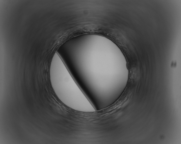 X0000101961202200807180654