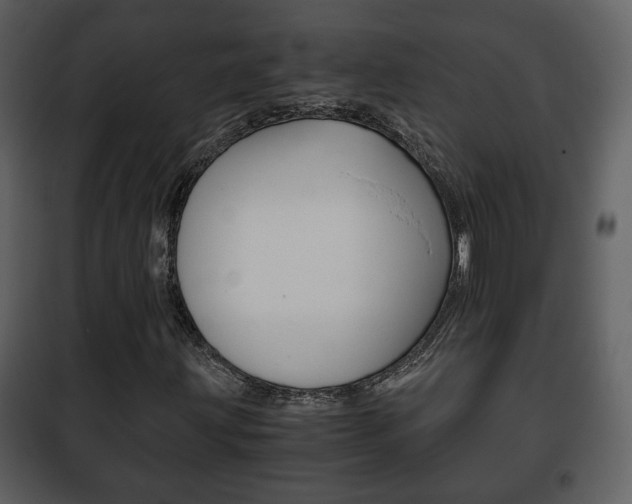 X0000101961203200807180654