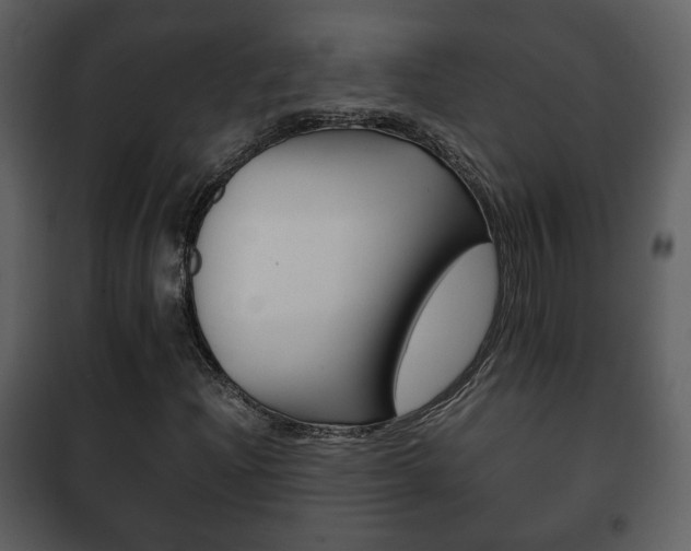 X0000101961204200807180654