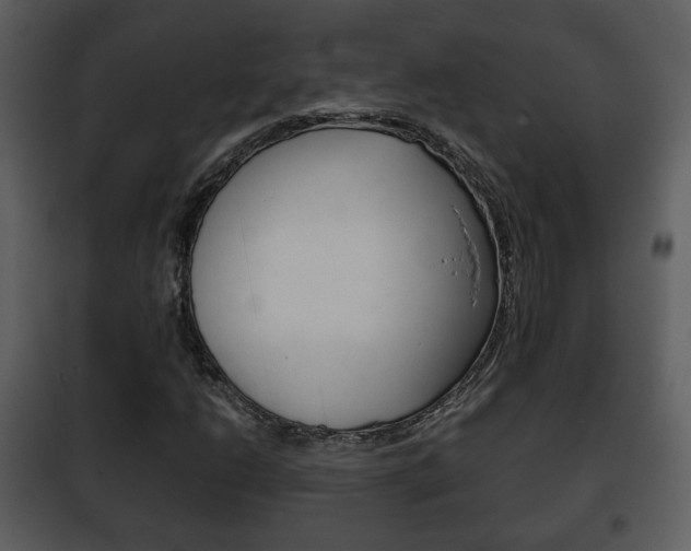 X0000101961206200807180654