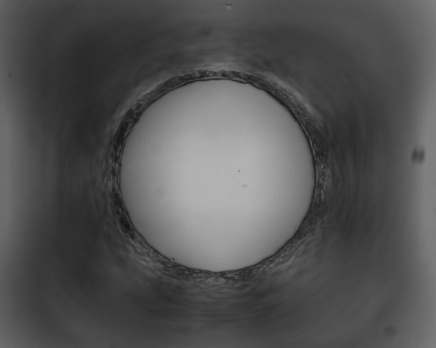 X0000101961207200807180654