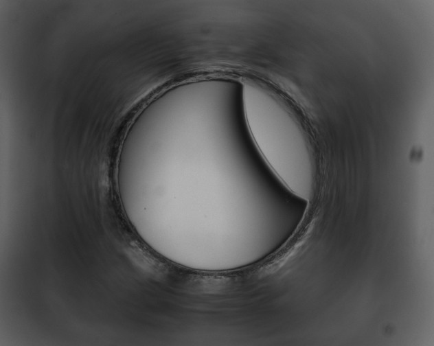 X0000101961209200807180654