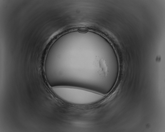 X0000101961210200807180654