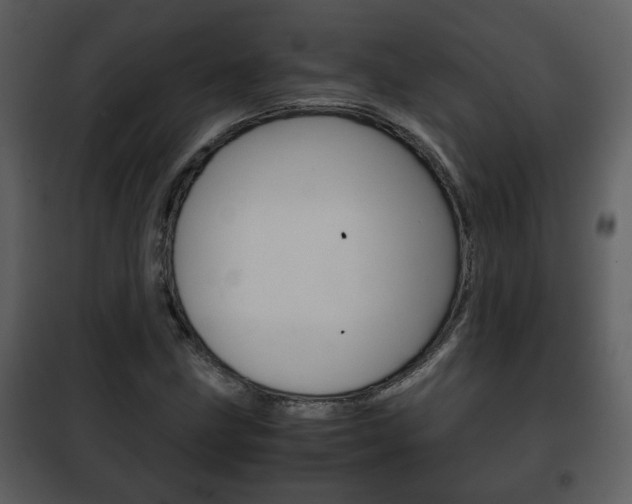 X0000101961211200807180654