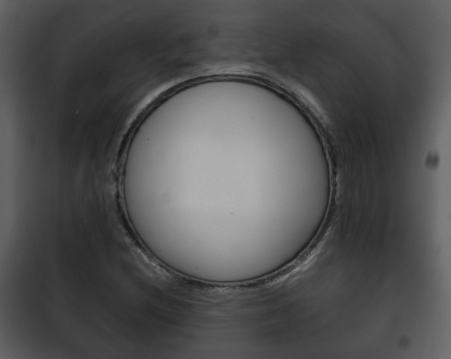 X0000101961212200807180654