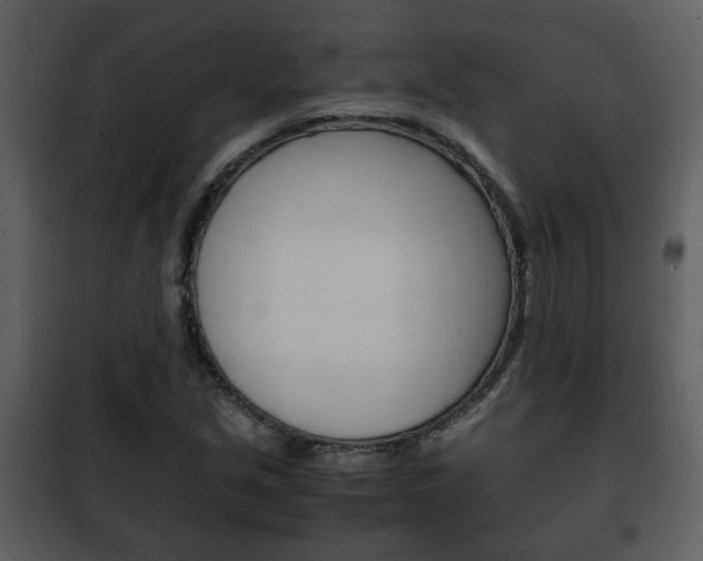 X0000101961213200807180654