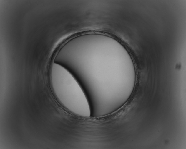 X0000101961214200807180654