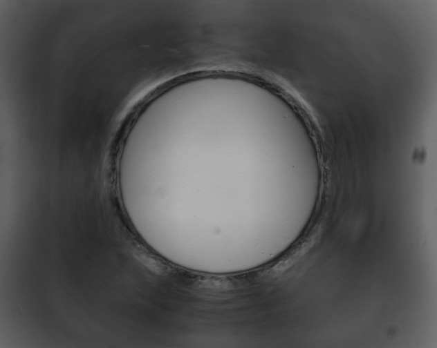 X0000101961215200807180654