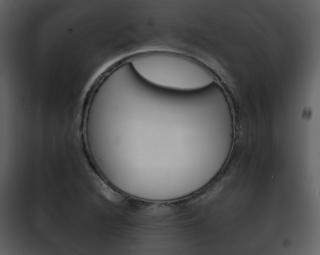 X0000101961216200807180654