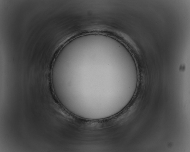 X0000101961217200807180654
