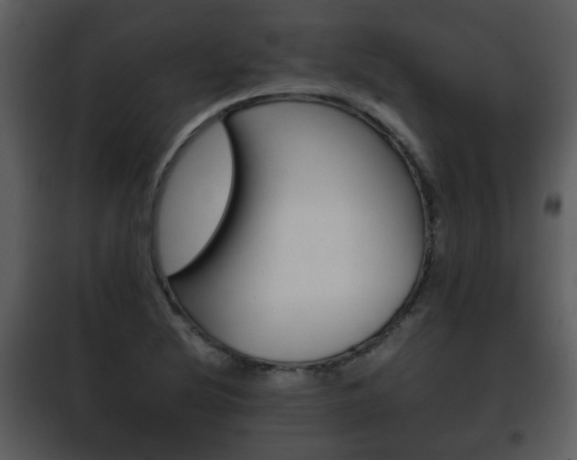X0000101961220200807180654