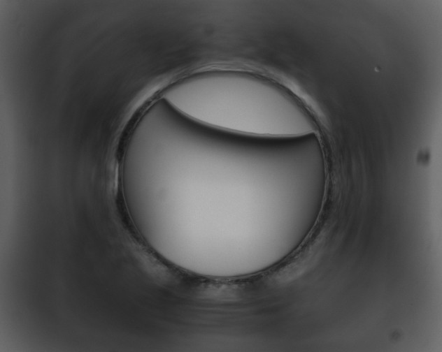 X0000101961221200807180654