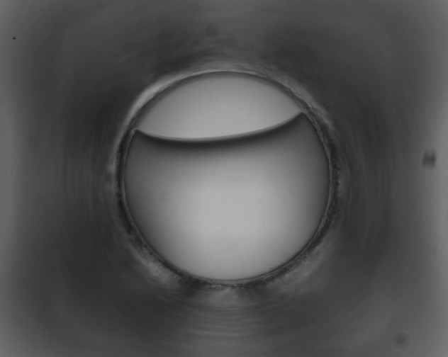 X0000101961222200807180654