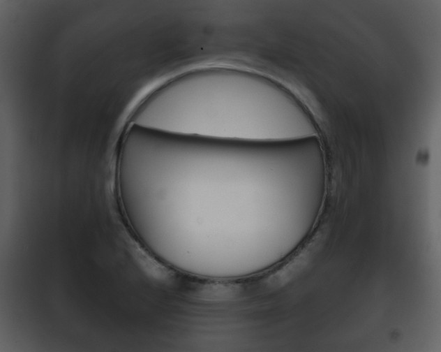 X0000101961224200807180654