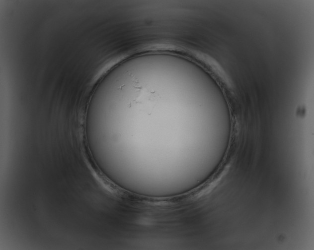 X0000101961225200807180654