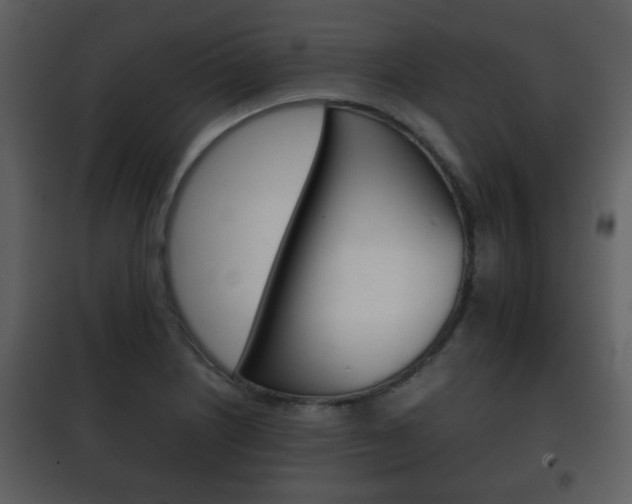 X0000101961226200807180654