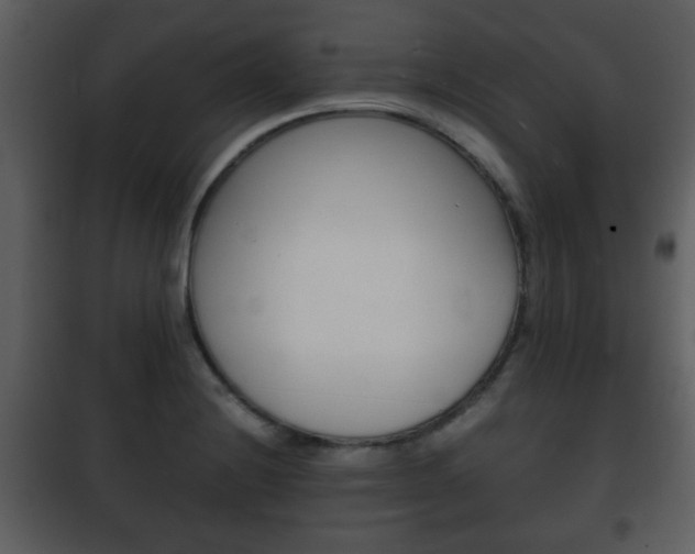 X0000101961228200807180654