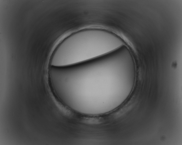 X0000101961229200807180654