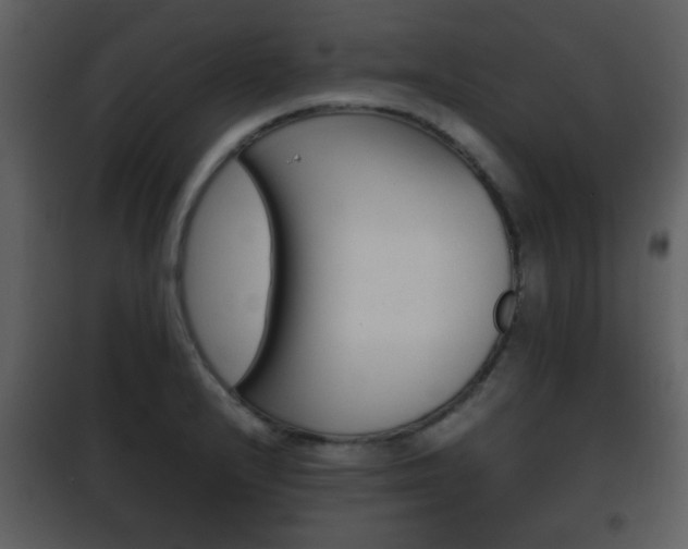 X0000101961232200807180654