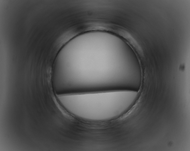 X0000101961233200807180654