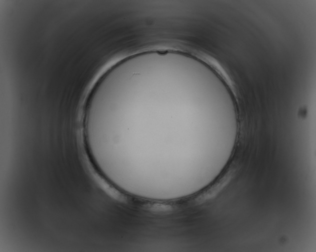 X0000101961235200807180654