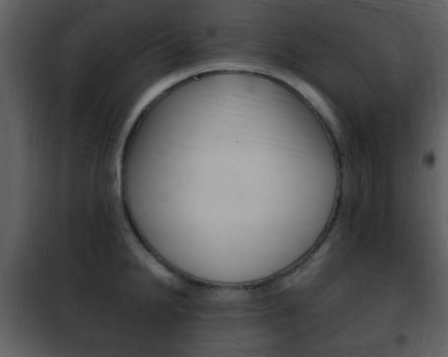 X0000101961238200807180654