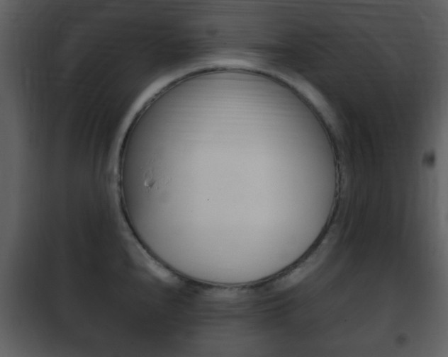 X0000101961240200807180654