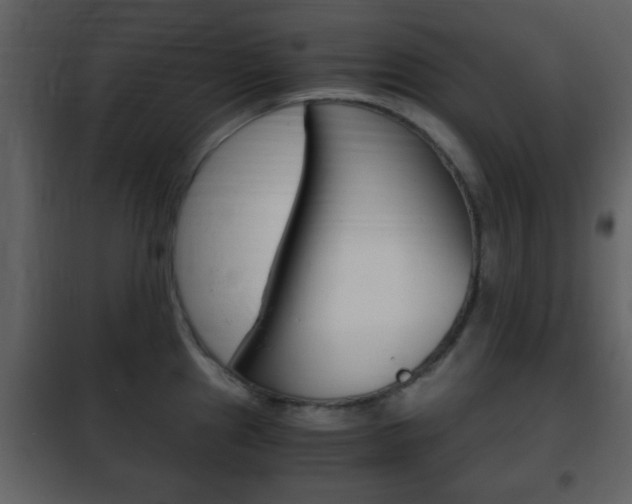 X0000101961241200807180654