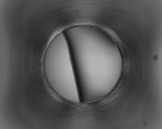X0000101961242200807180654