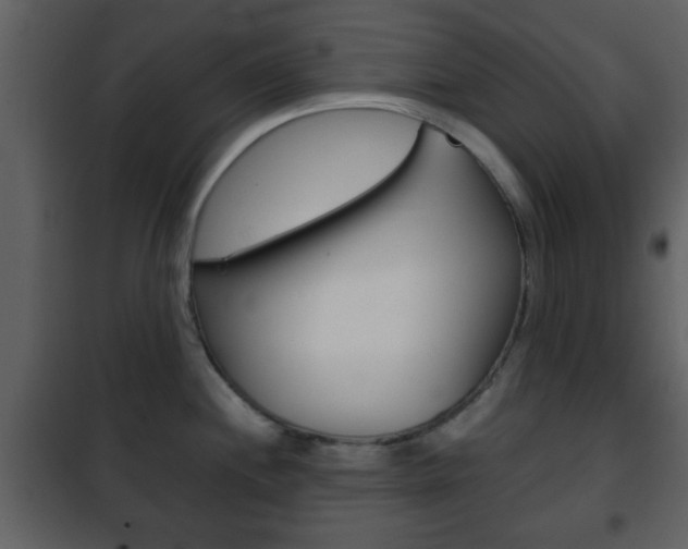 X0000101961244200807180654