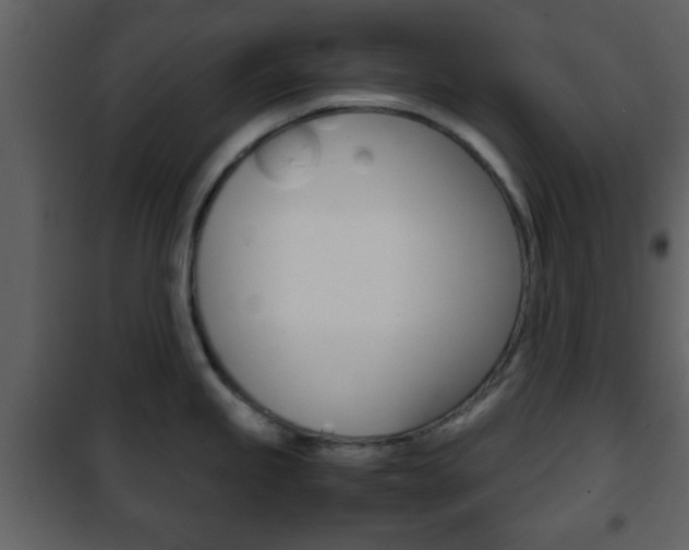 X0000101961245200807180655