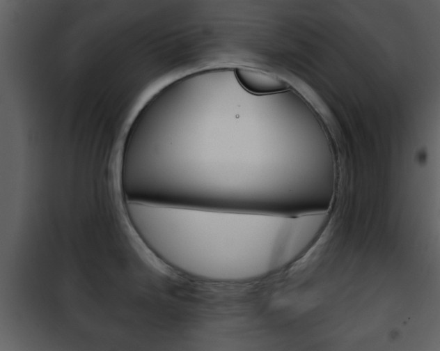 X0000101961246200807180655