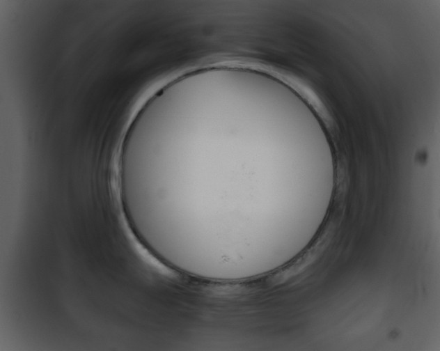 X0000101961247200807180655
