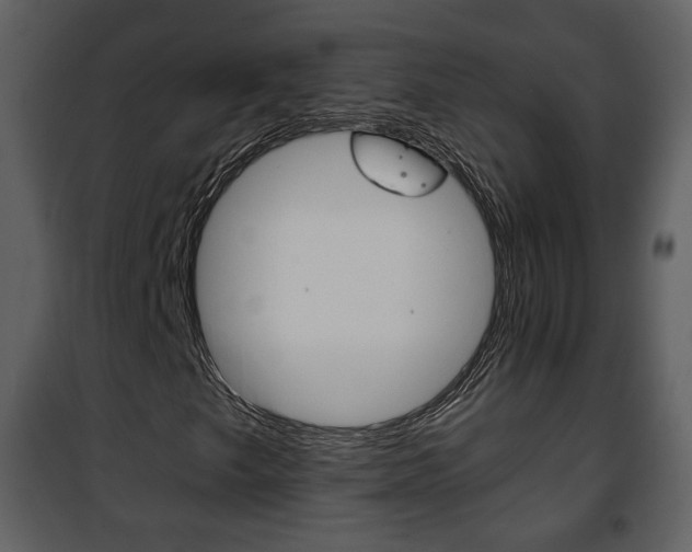 X0000101961249200807180654