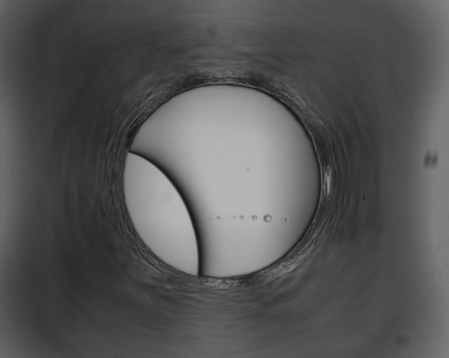 X0000101961251200807180654