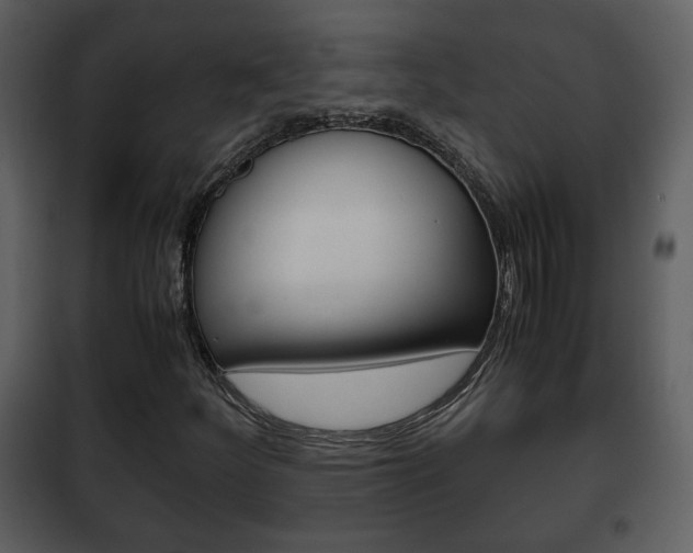 X0000101961252200807180654