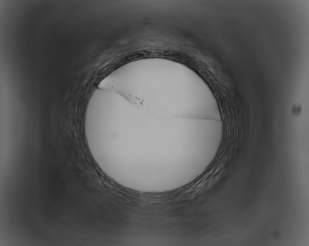 X0000101961253200807180654