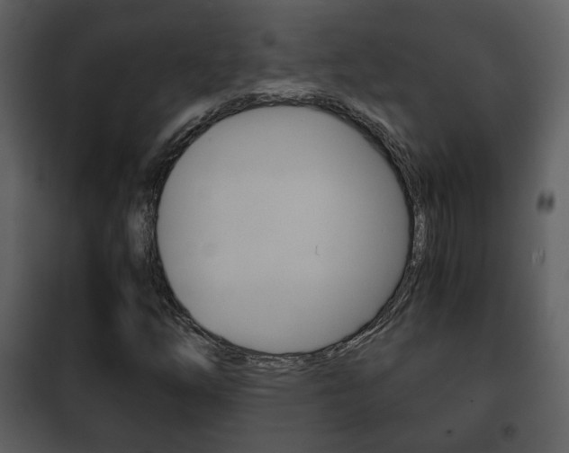 X0000101961254200807180654